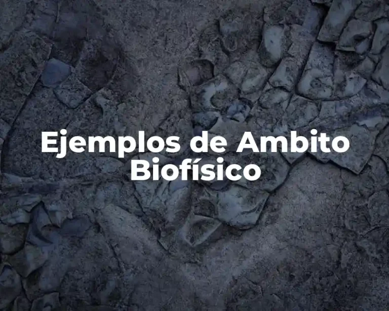 Ejemplos de Ambito Biofísico