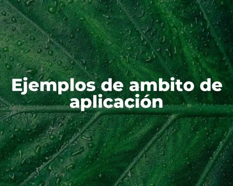 Ejemplos de ambito de aplicación