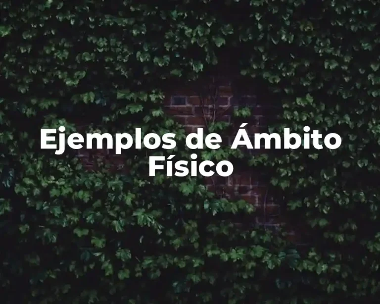 Ejemplos de Ámbito Físico