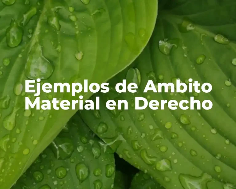Ejemplos de Ambito Material en Derecho