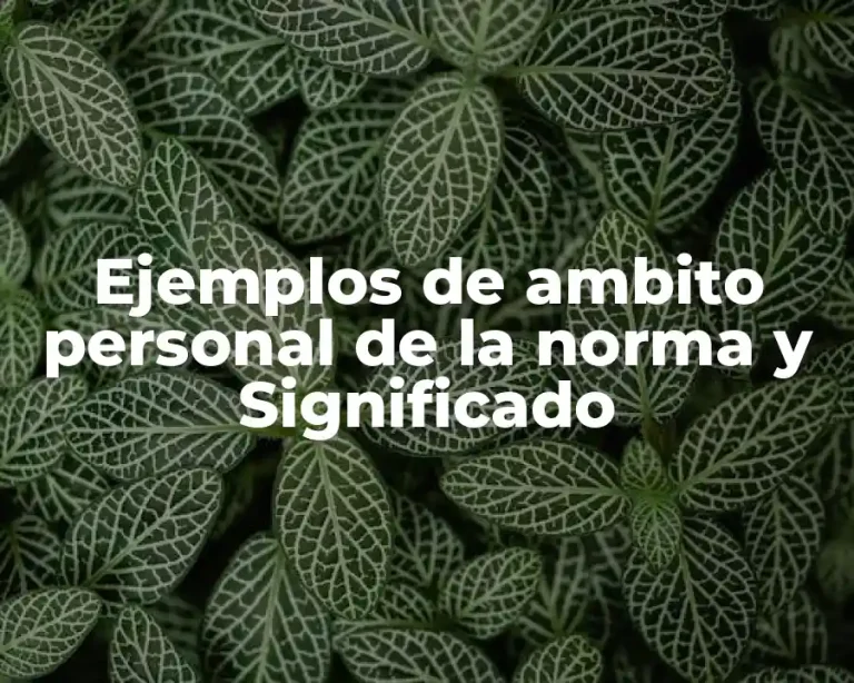 Ejemplos de ambito personal de la norma y Significado
