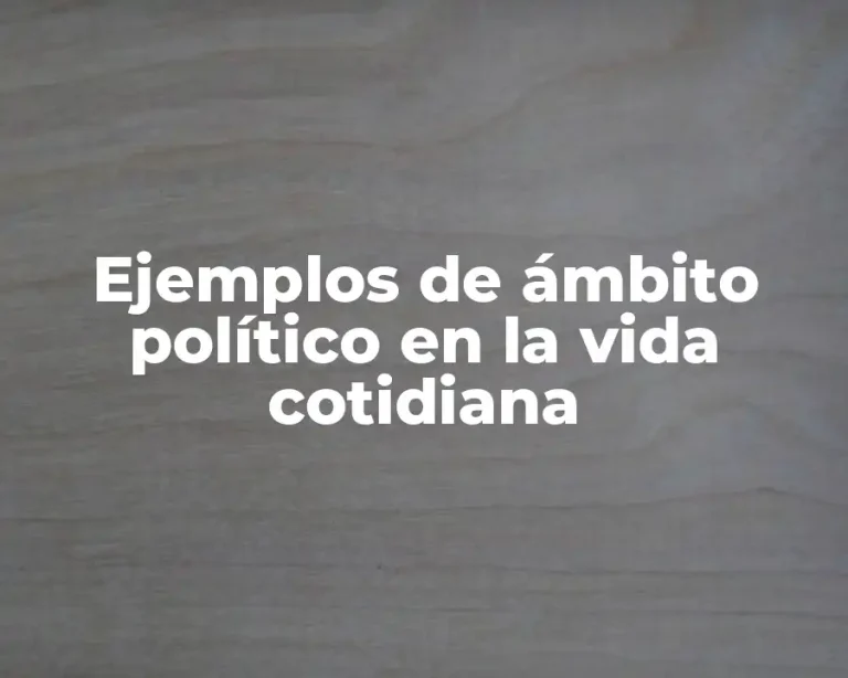 Ejemplos de ámbito político en la vida cotidiana