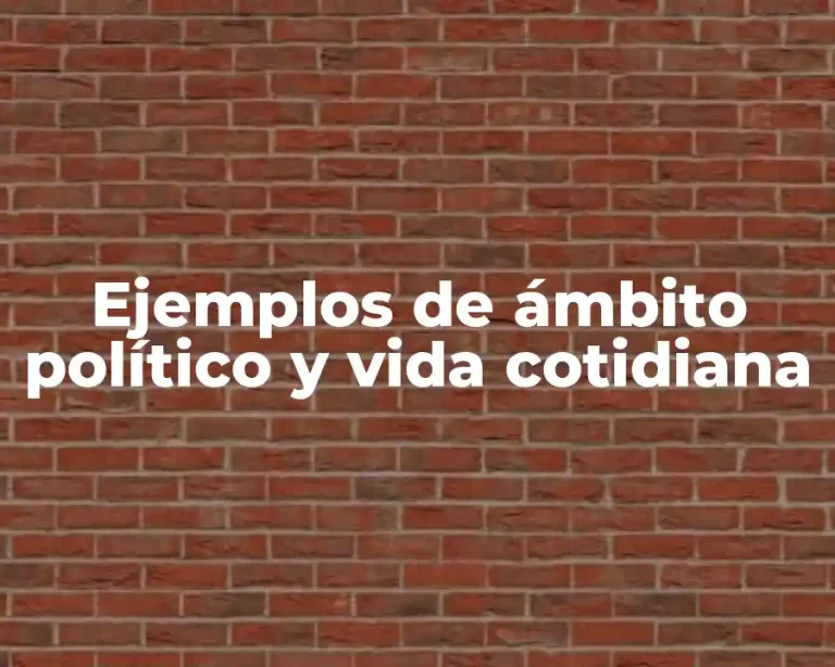 Ejemplos de ámbito político y vida cotidiana