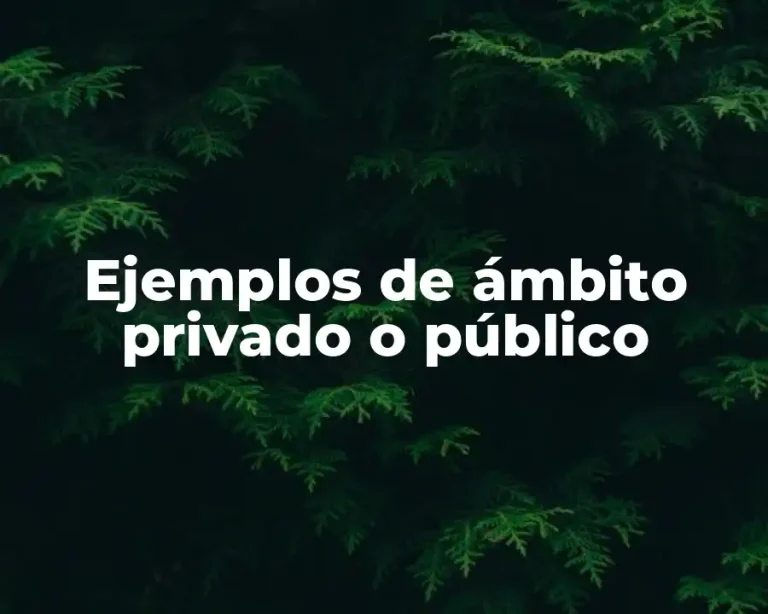 Ejemplos de ámbito privado o público