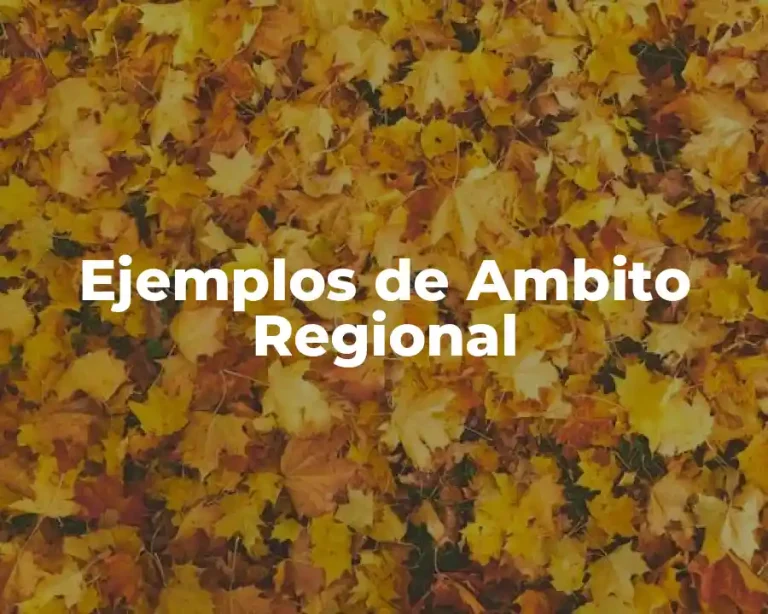 Ejemplos de Ambito Regional