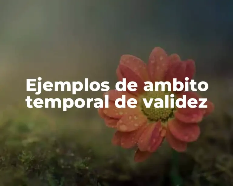 Ejemplos de ambito temporal de validez