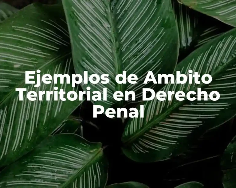 Ejemplos de Ambito Territorial en Derecho Penal