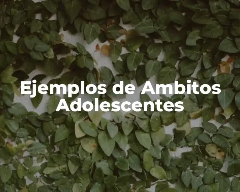 Ejemplos de Ambitos Adolescentes