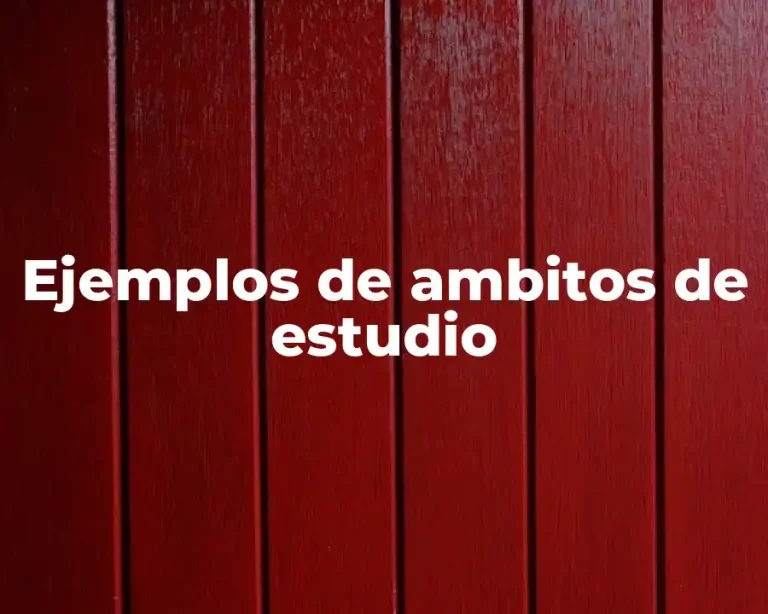 Ejemplos de ambitos de estudio