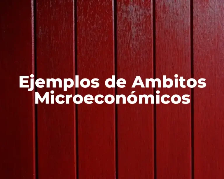 Ejemplos de Ambitos Microeconómicos