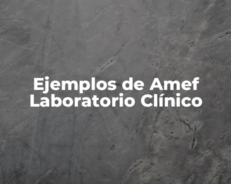 Ejemplos de Amef Laboratorio Clínico