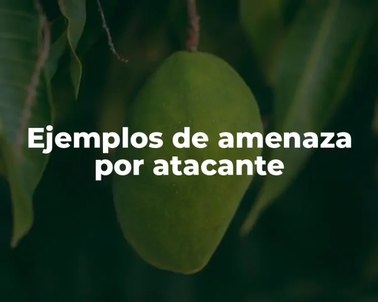 Ejemplos de amenaza por atacante