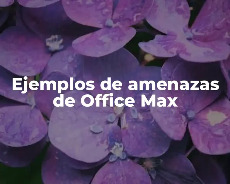 Ejemplos de amenazas de Office Max