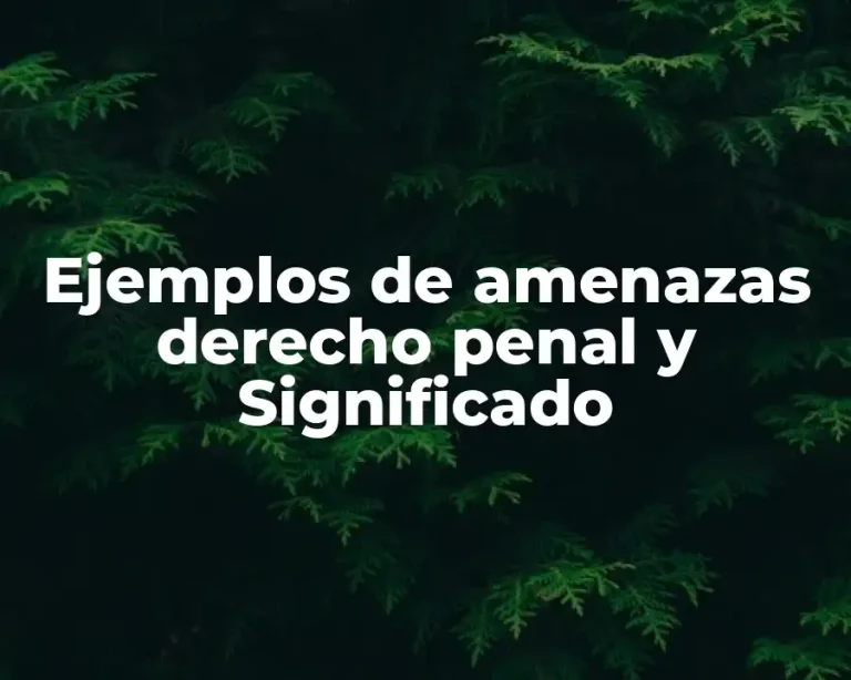 Ejemplos de amenazas derecho penal y Significado