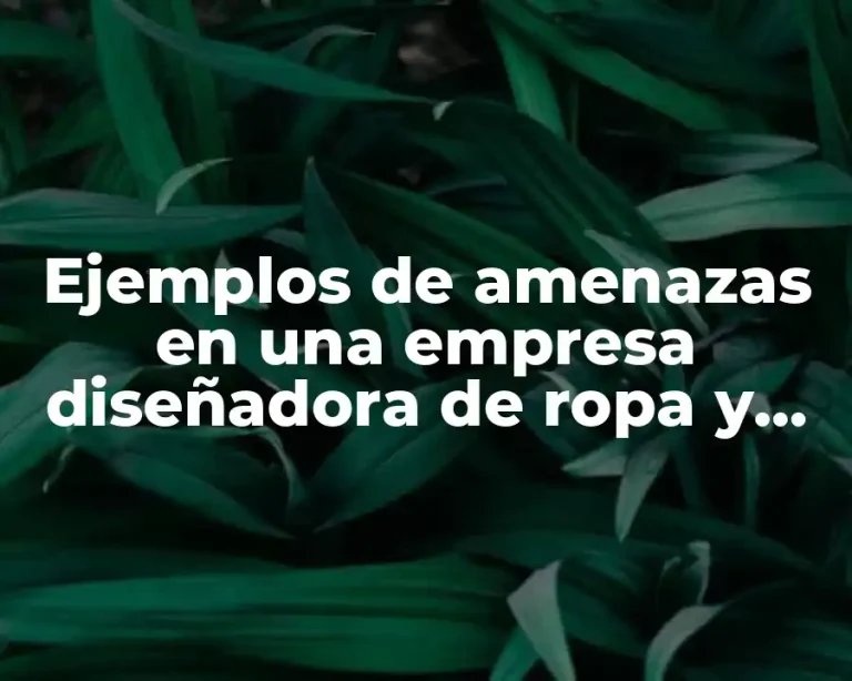Ejemplos de amenazas en una empresa diseñadora de ropa y Significado
