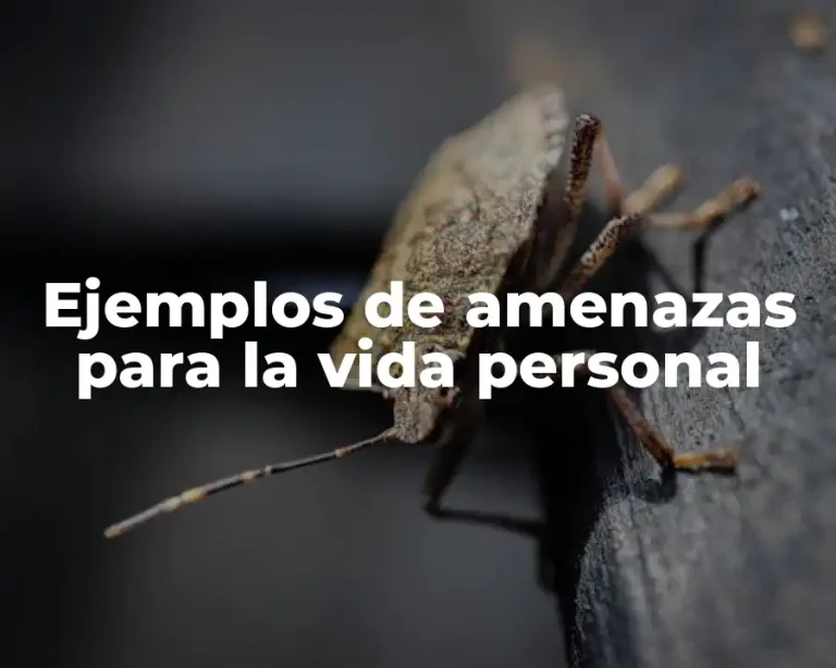 Ejemplos de amenazas para la vida personal