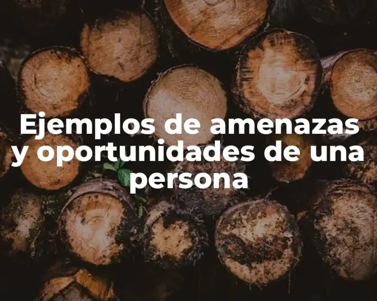 Ejemplos de amenazas y oportunidades de una persona