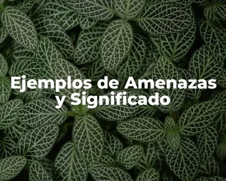 Ejemplos de Amenazas y Significado