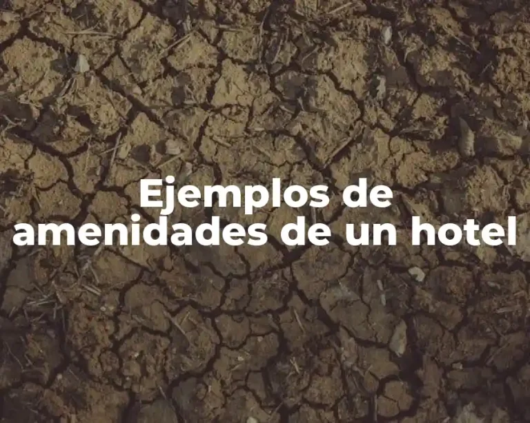 Ejemplos de amenidades de un hotel