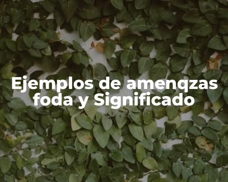 Ejemplos de amenqzas foda y Significado
