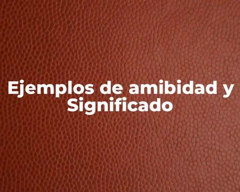 Ejemplos de amibidad y Significado