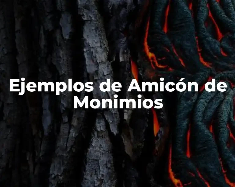 Ejemplos de Amicón de Monimios