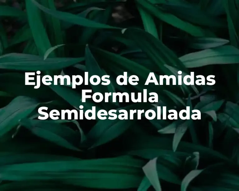 Ejemplos de Amidas Formula Semidesarrollada