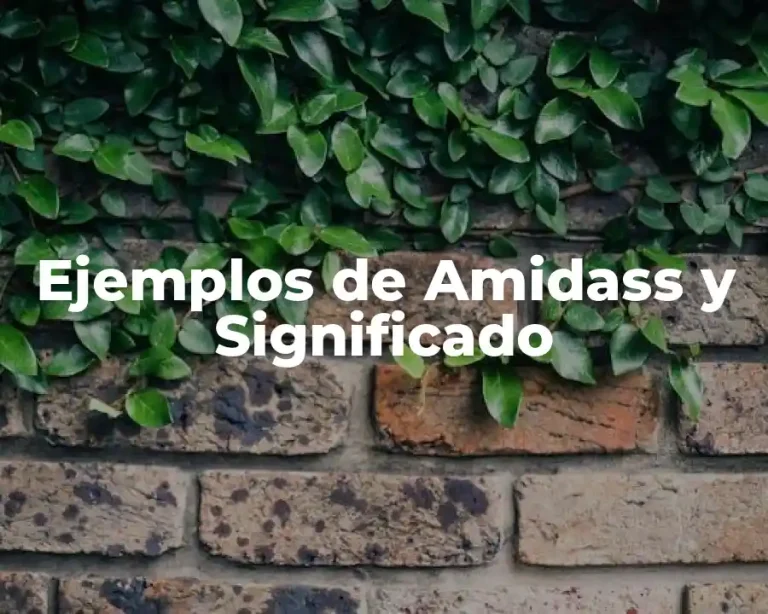 Ejemplos de Amidass y Significado