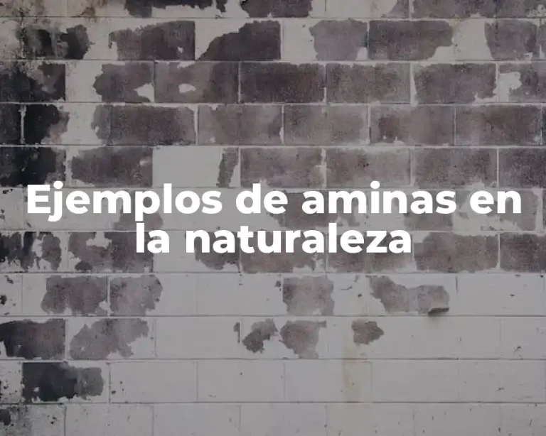 Ejemplos de aminas en la naturaleza