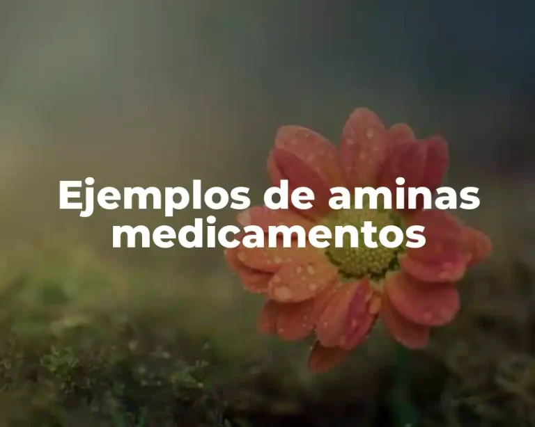 Ejemplos de aminas medicamentos