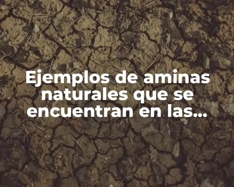Ejemplos de aminas naturales que se encuentran en las plantas y Significado