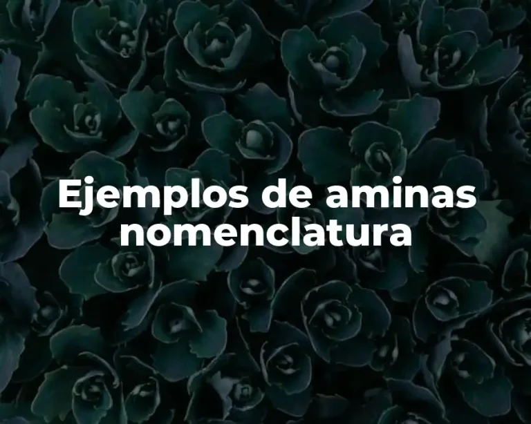 Ejemplos de aminas nomenclatura