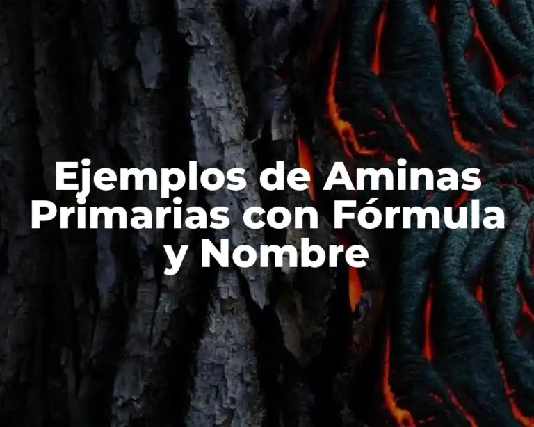 Ejemplos de Aminas Primarias con Fórmula y Nombre