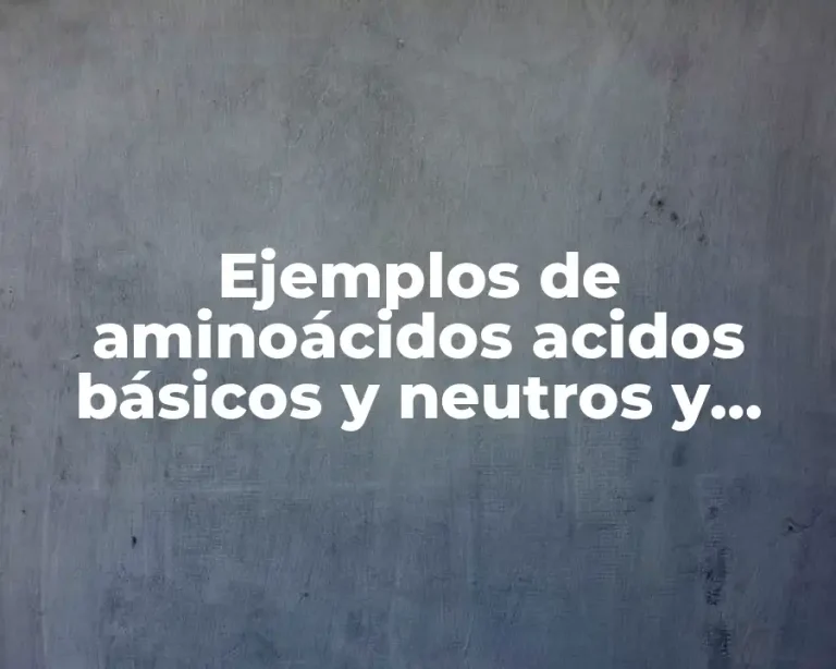 Ejemplos de aminoácidos acidos básicos y neutros y Significado