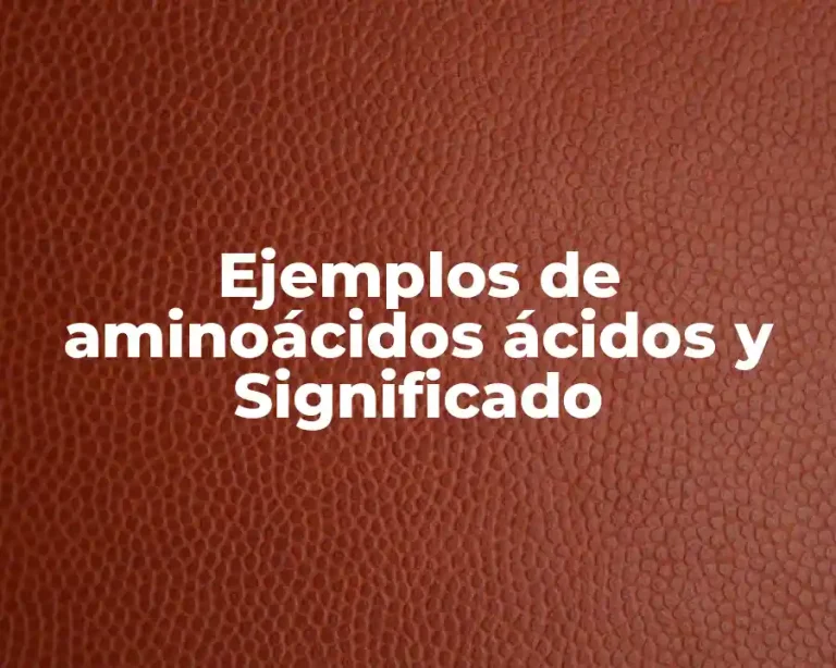 Ejemplos de aminoácidos ácidos y Significado
