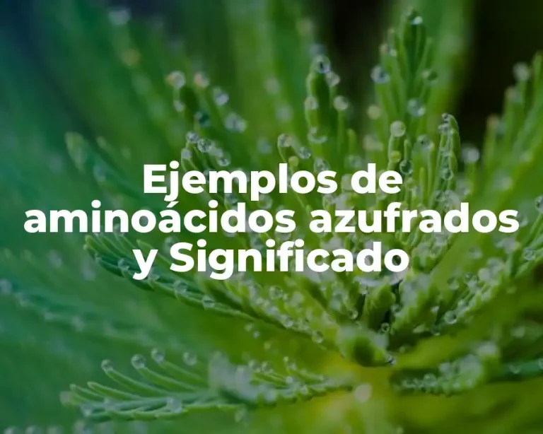 Ejemplos de aminoácidos azufrados y Significado