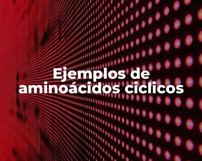 Ejemplos de aminoácidos ciclicos