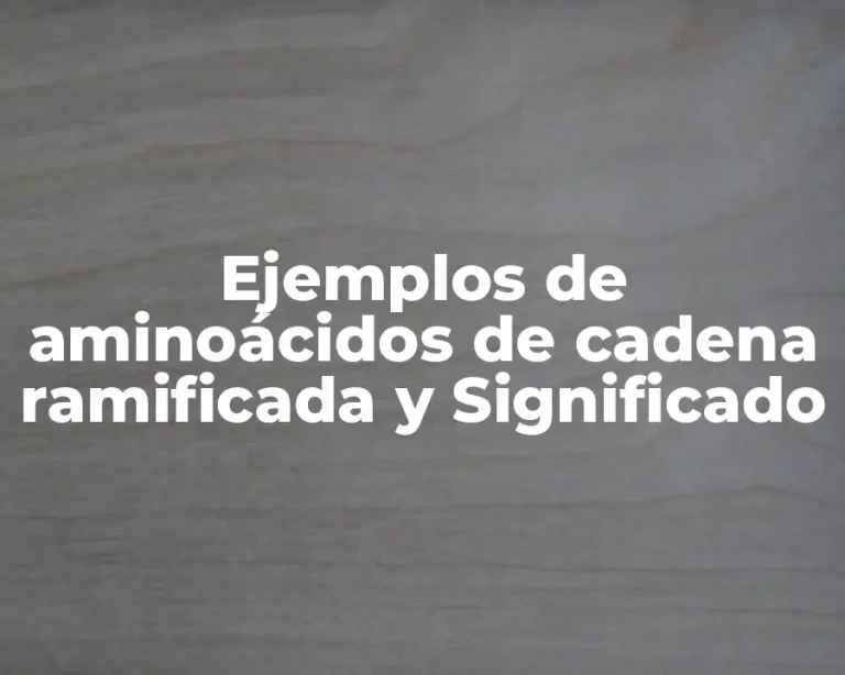 Ejemplos de aminoácidos de cadena ramificada y Significado