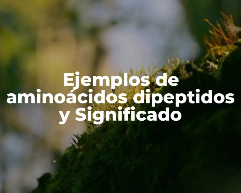 Ejemplos de aminoácidos dipeptidos y Significado