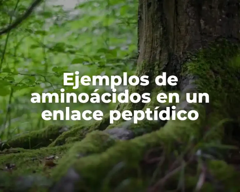 Ejemplos de aminoácidos en un enlace peptídico