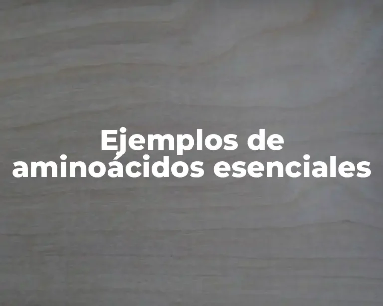 Ejemplos de aminoácidos esenciales