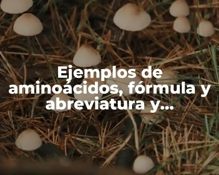 Ejemplos de aminoácidos, fórmula y abreviatura y Significado