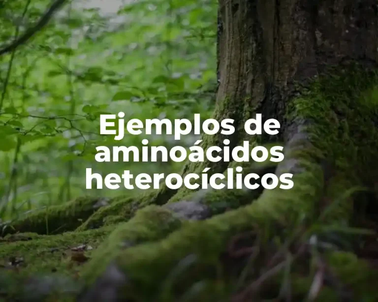 Ejemplos de aminoácidos heterocíclicos