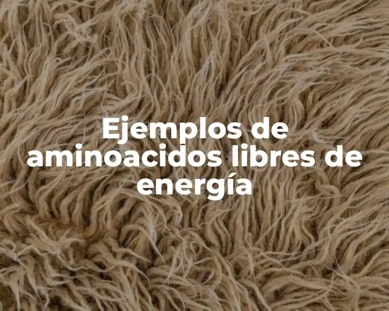Ejemplos de aminoacidos libres de energía