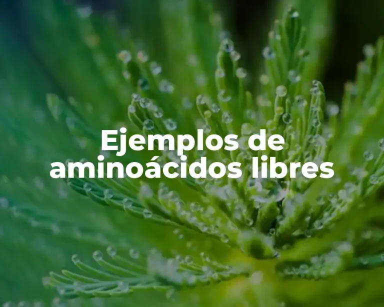 Ejemplos de aminoácidos libres