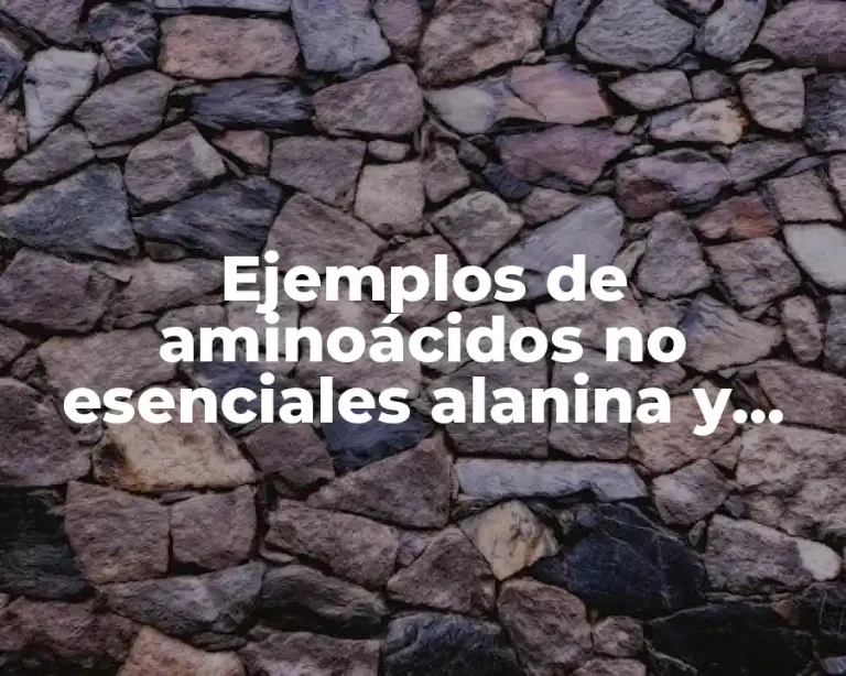 Ejemplos de aminoácidos no esenciales alanina y Significado