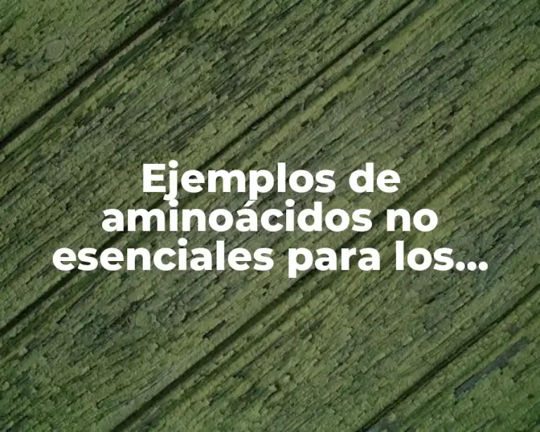 Ejemplos de aminoácidos no esenciales para los seres humanos