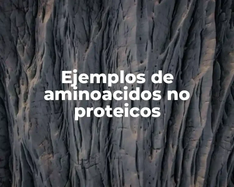 Ejemplos de aminoacidos no proteicos