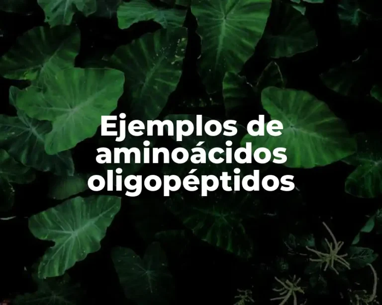 Ejemplos de aminoácidos oligopéptidos