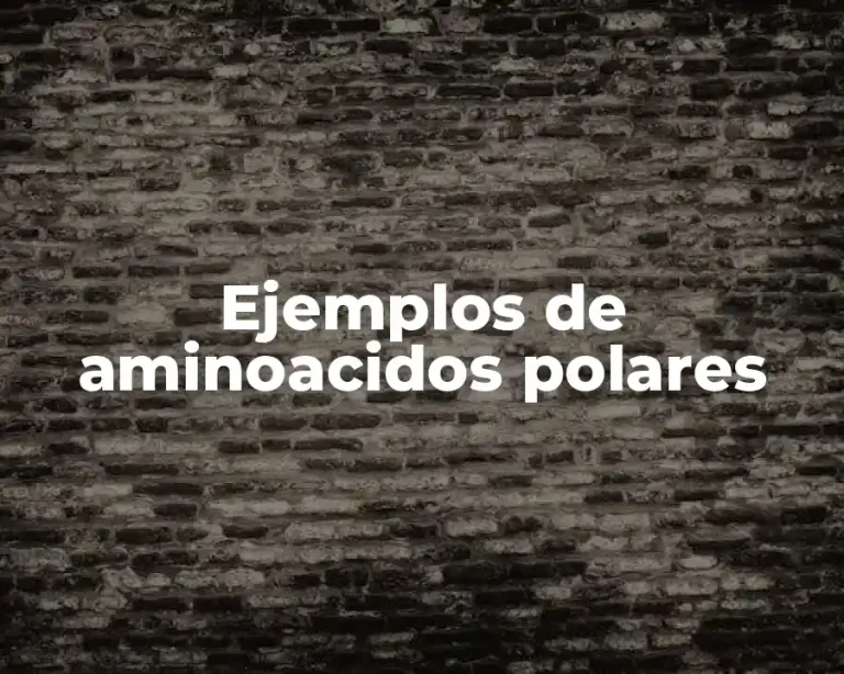 Ejemplos de aminoacidos polares